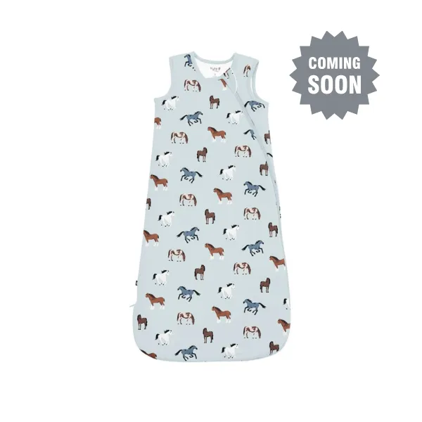 Kyte Baby Sleep Bag 1.0