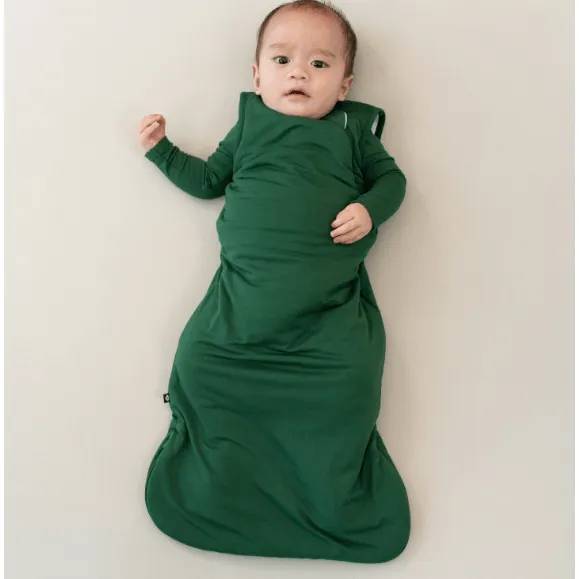 Kyte Baby Sleep Bag 1.0