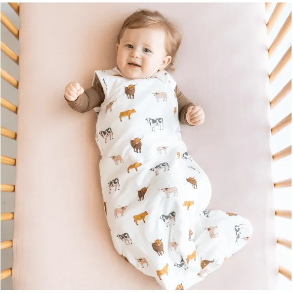 Kyte Baby Sleep Bag 1.0