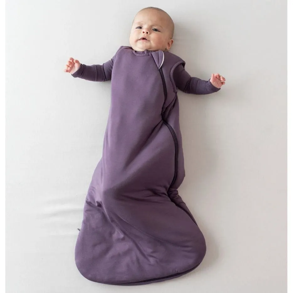 Kyte Baby Sleep Bag 1.0
