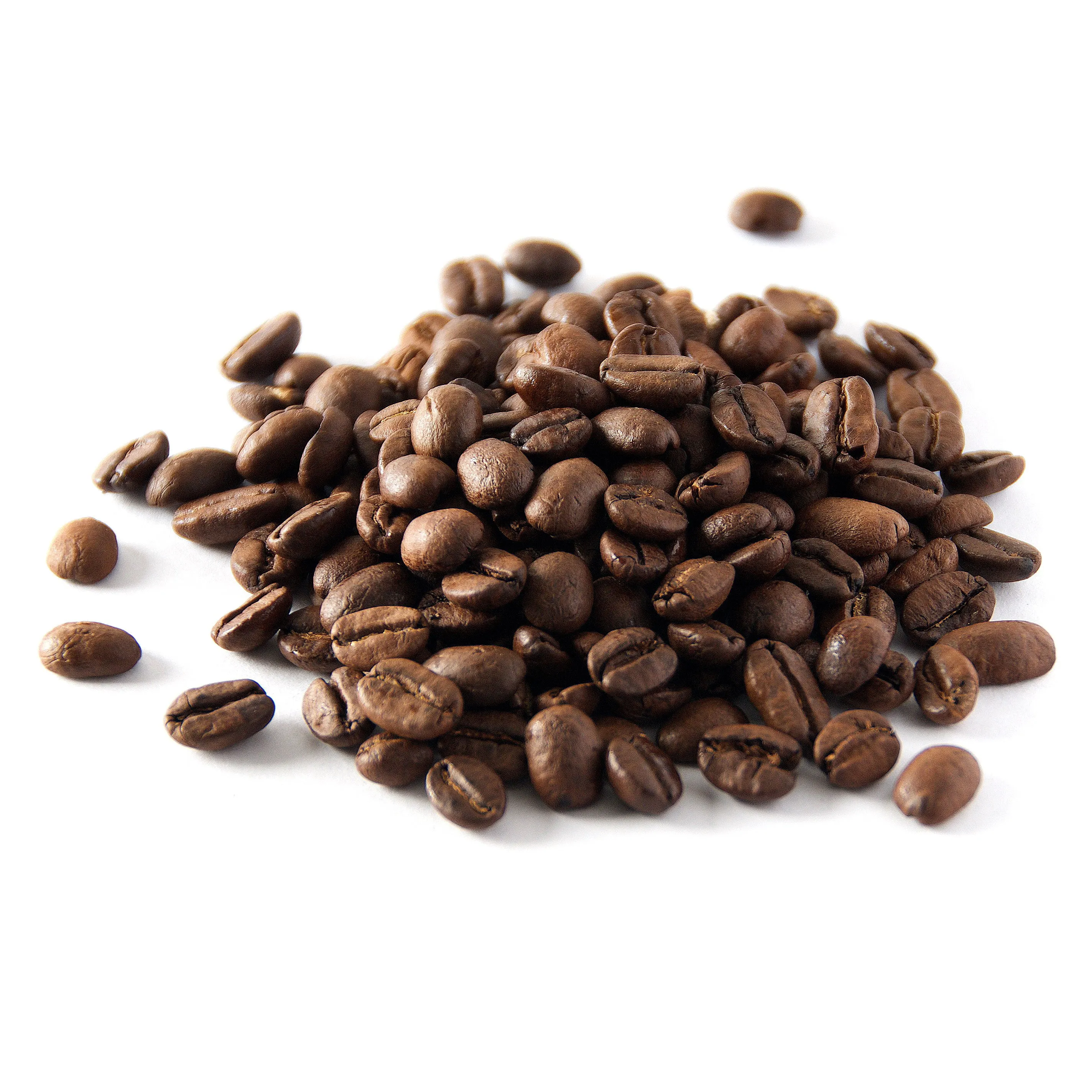 The Filter Blend | House Blend